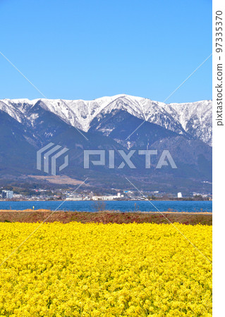 春油菜田 平山山脈 春油菜田 平山山脈 97335370