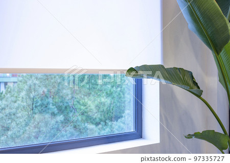 Roller blinds close-up on the window. A houseplant is near the white color window shade. The view outside the window is pine trees. Sun protection for home. 97335727