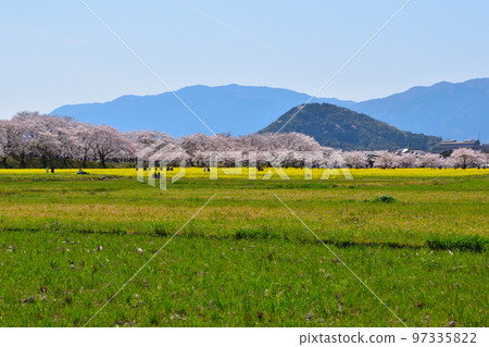 藤原京春遺址 97335822