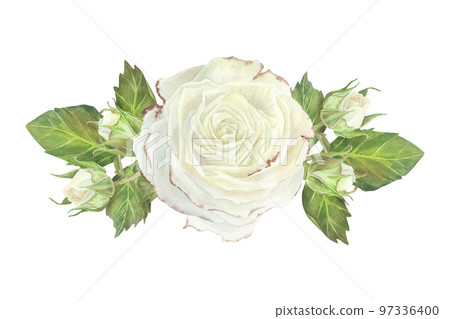 Horizontal composition of white roses, buds and leaves. Watercolor illustration. Isolated on a white background.For design of sticker, dishes, greeting card, cosmetics packaging, wedding invitation Horizontal composition of white roses, buds and leaves. Watercolor illustration. Isolated on a white background.For design of sticker, dishes, greeting card, cosmetics packaging, wedding invitation 97336400