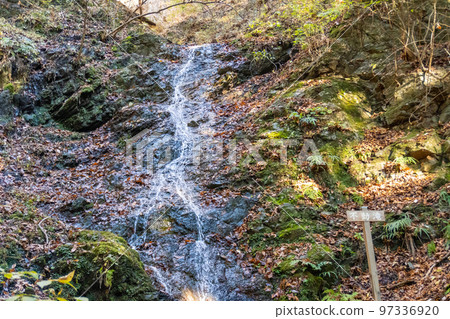 Buko mountain trail 97336920