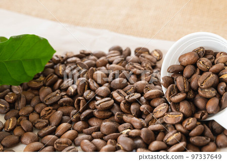 罕見的危地馬拉藝妓 罕見的危地馬拉藝妓 97337649