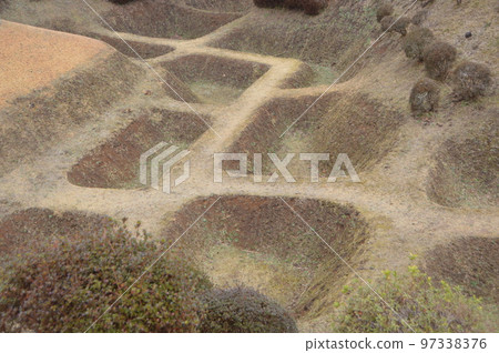 山中城的“Shoji digging”（靜岡縣三島市山中新殿） 97338376