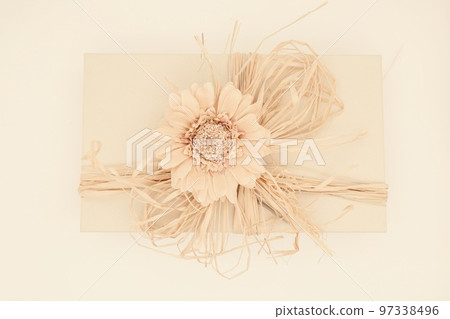 Gift (white background) Gift (white background) 97338496