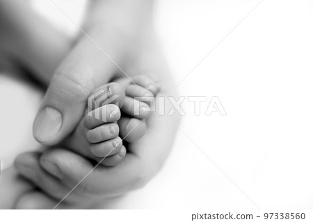 Feet of the newborn in the hands of mom close up. Mom and her child.  97338560