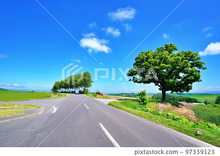 夏天的北海道美瑛町七星樹和拼布小路 夏天的北海道美瑛町七星樹和拼布小路 97339123