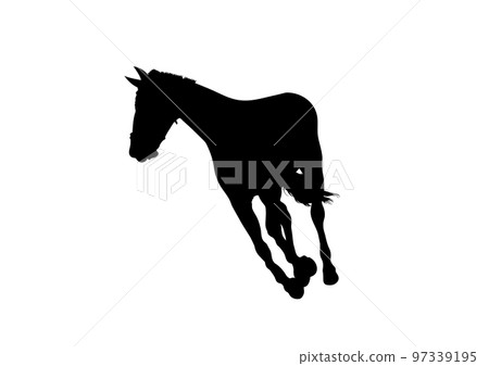 Graphics design silhouette horse racing woman for race isolated white background vector illustration Graphics design silhouette horse racing woman for race isolated white background vector illustration 97339195