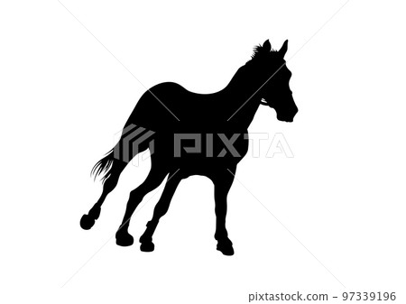 Graphics design silhouette horse  isolated white background vector illustration 97339196