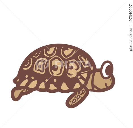 Leopard tortoise 97340097
