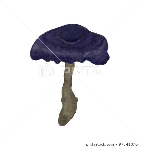 Mushroom Shiitake Mushroom Shiitake 97341070