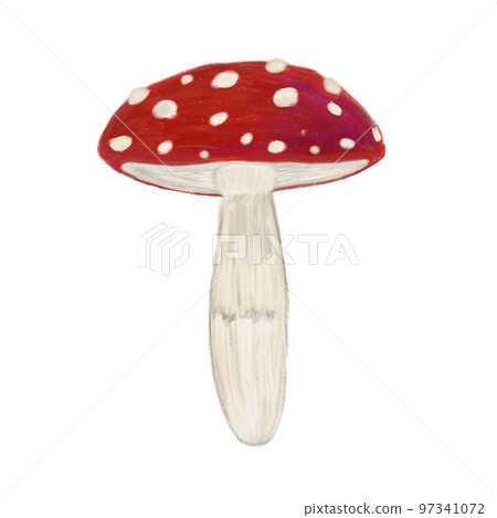 蘑菇 香菇 97341072