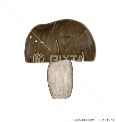 蘑菇 香菇 97341074