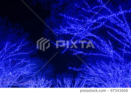 東京澀谷區藍洞照明 東京澀谷區藍洞照明 97341608