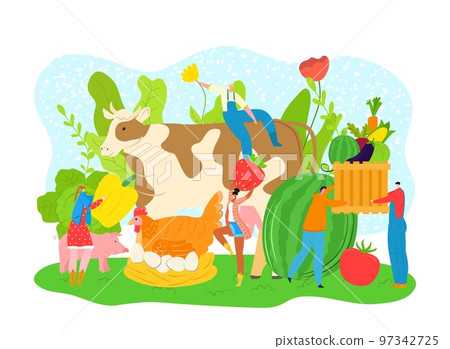 Food fruit vegetable farm agriculture market, flat farm non gmo product, vector illustration. Man woman character with healthy organic plant food. Food fruit vegetable farm agriculture market, flat farm non gmo product, vector illustration. Man woman character with healthy organic plant food. 97342725