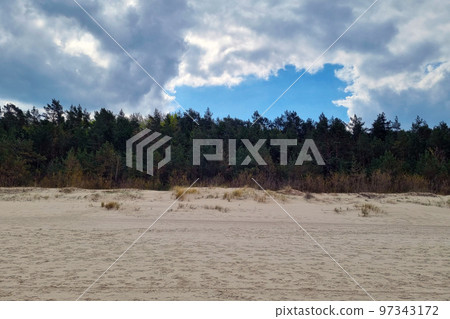 Forest sandy beach on the Baltic Sea. Nature background. Forest sandy beach on the Baltic Sea. Nature background. 97343172