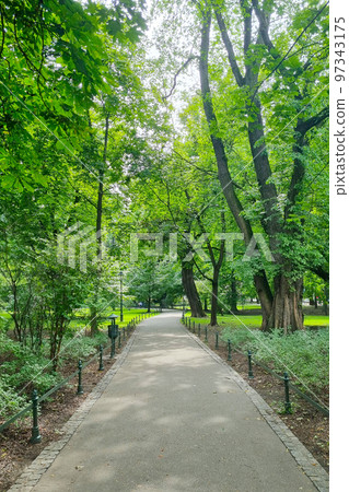 View of the green park. Beautiful trail for relaxation. 97343175