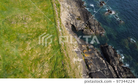 Dense thickets of grass on the shore. Grass-covered rocks on the Atlantic Ocean coast. Nature of Ireland, top view. View from above. Dense thickets of grass on the shore. Grass-covered rocks on the Atlantic Ocean coast. Nature of Ireland, top view. View from above. 97344224