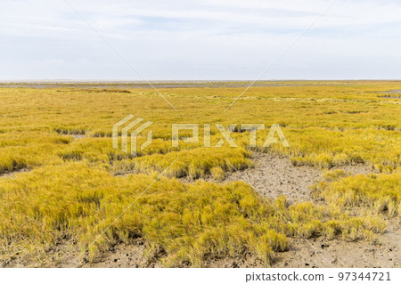 Natural swamp in autumn landscape Natural swamp in autumn landscape 97344721
