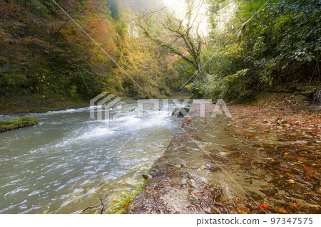 千葉縣 Yoro Valley/Yoro 河在秋天/Yoro 河，日本 97347575