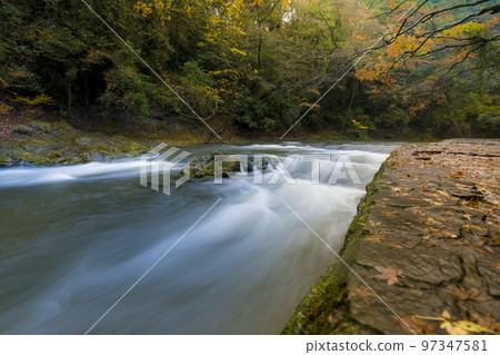 千葉縣 Yoro Valley/Yoro 河在秋天/Yoro 河，日本 97347581