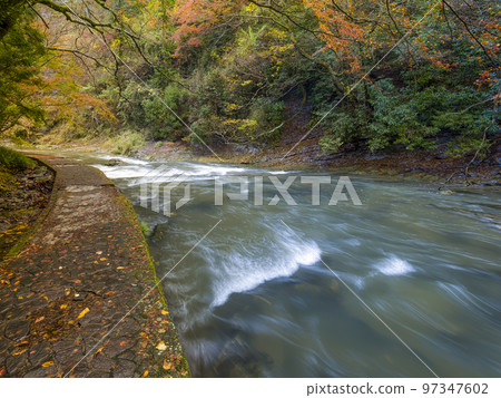 Chiba Prefecture Yoro Valley/Yoro River in autumn / Yoro River, Japan 97347602
