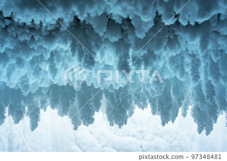 Winter Christmas background of frozen snow growths 97348481