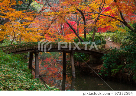 秋天的東京，落葉的六義園，山陰橋 97352594