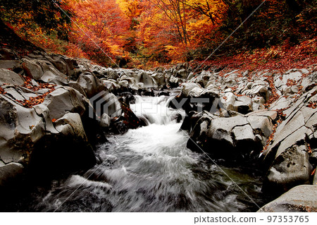 Image of travel and autumn scenery 97353765