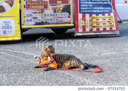 舞鶴紅磚公園 97354703