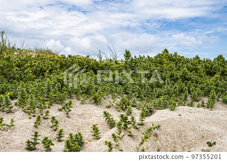 Beach of Praia do Rostro in Galicia, Spain near Finisterre and Way of Saint James. Coast of Death, costa da morte Beach of Praia do Rostro in Galicia, Spain near Finisterre and Way of Saint James. Coast of Death, costa da morte 97355201