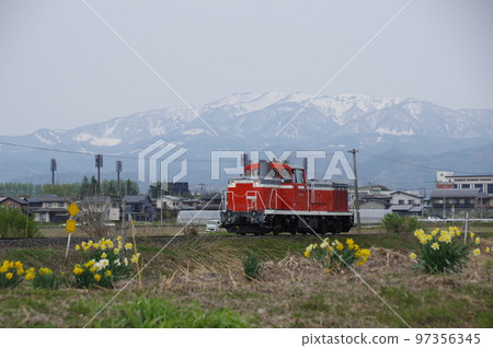 Aterazawa Line Near Uzen Nagasaki Narcissus and Snow Mountain and Single DE10 1651 Aterazawa Line Near Uzen Nagasaki Narcissus and Snow Mountain and Single DE10 1651 97356345