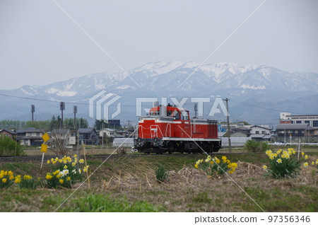 Aterazawa Line Near Uzen Nagasaki Narcissus and Snow Mountain and Single DE10 1651 Aterazawa Line Near Uzen Nagasaki Narcissus and Snow Mountain and Single DE10 1651 97356346