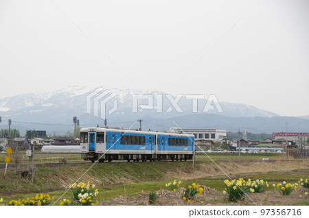 Aterazawa Line Near Uzen Nagasaki Narcissus, Snow Mountain and Kiha 101 97356716