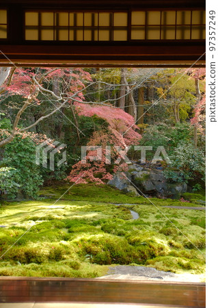 Ruriko-in Ruri-no-niwa last autumn leaves in December 97357249