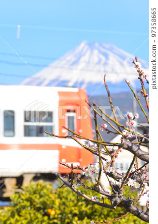 Gakunan Train Mt. Fuji, cherry blossoms, and fine weather 97358665