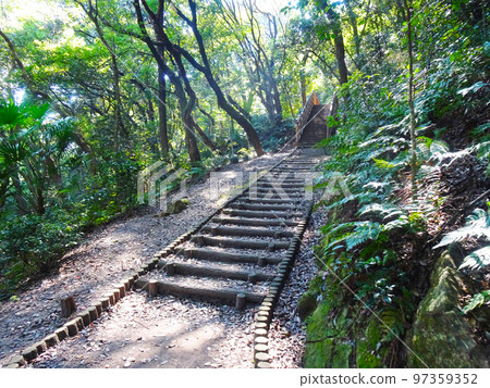 Stairs leading to Komakiyama Castle (Komaki City, Aichi Prefecture) Stairs leading to Komakiyama Castle (Komaki City, Aichi Prefecture) 97359352