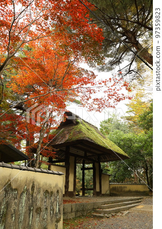 Iga no Sato Haiku by Basho Matsuo 97359823