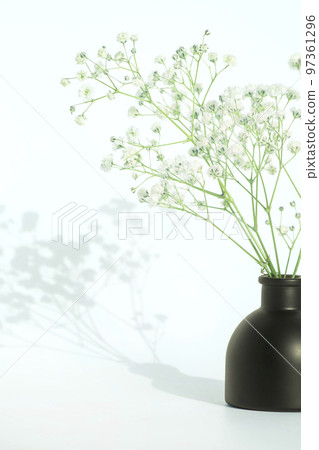 Plants and podium by the window 97361296