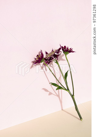 Flower and podium against the wall 97361298