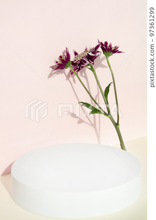 靠牆的花和講台 97361299