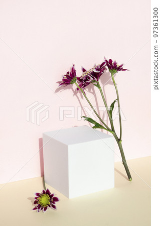 靠牆的花和講台 97361300