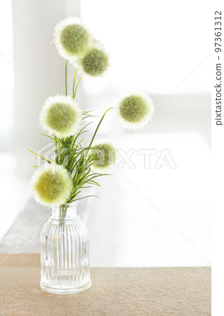 Plants and podium by the window 97361312