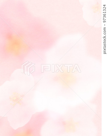 Soft cherry blossom background 97361324