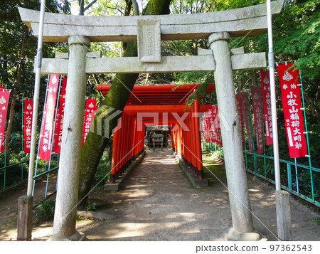 Komakiyama Castle Komakiyama Inari Shrine (Komaki City, Aichi Prefecture) October 2022 Komakiyama Castle Komakiyama Inari Shrine (Komaki City, Aichi Prefecture) October 2022 97362543