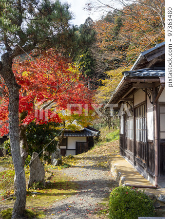 紅葉寺中的楓樹和銀杏樹 紅葉寺中的楓樹和銀杏樹 97363480