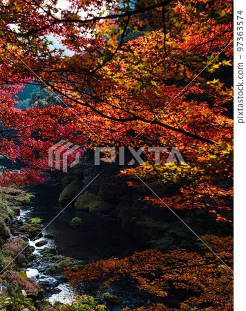 Autumn leaves and valleys 97363574