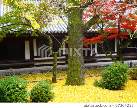 法隆寺的紅葉（奈良縣生駒郡斑鳩町法隆寺三內）2022 年 11 月 97364255