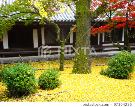 法隆寺的紅葉（奈良縣生駒郡斑鳩町法隆寺三內）2022 年 11 月 97364256
