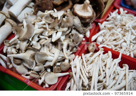 Mushroom Mushroom 97365914