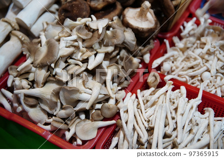 Mushroom Mushroom 97365915